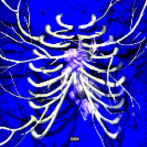 欧美老肥逼逼网WWBB网
